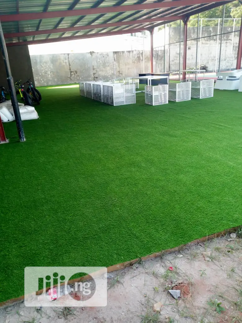 Carpet Grass / Artificial Grass