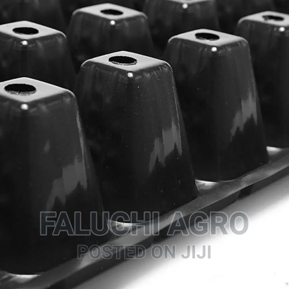 SEEDLING TRAY 200 Holes or Cells -Black