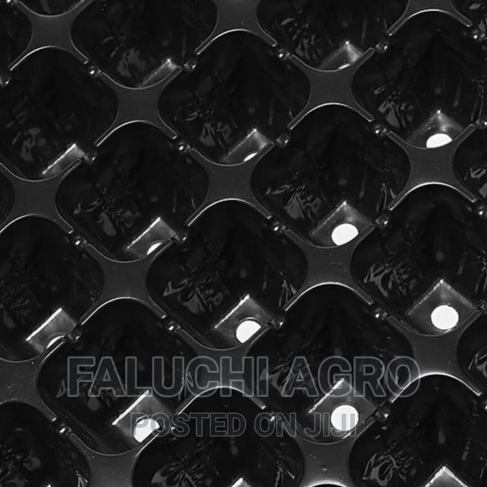 SEEDLING TRAY 200 Holes or Cells -Black