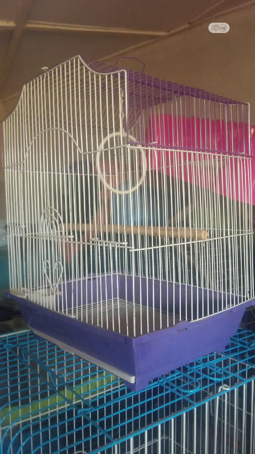 Bird Cage Small