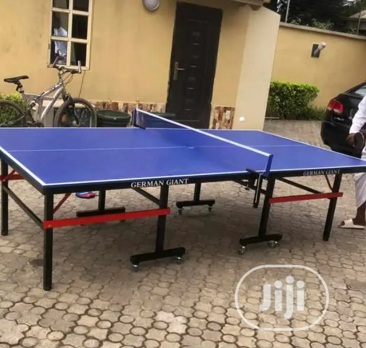 Waterproof Giant Outdoor Table Tennis Board With 2bats,3eggs