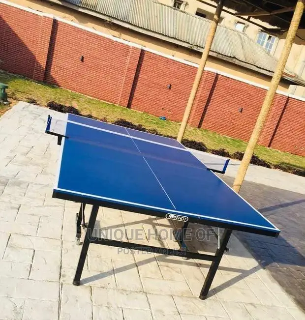 Outdoor Table Tennis