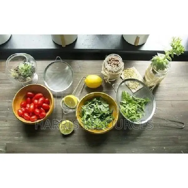 Stainless Steel Strainer (3 Pieces)