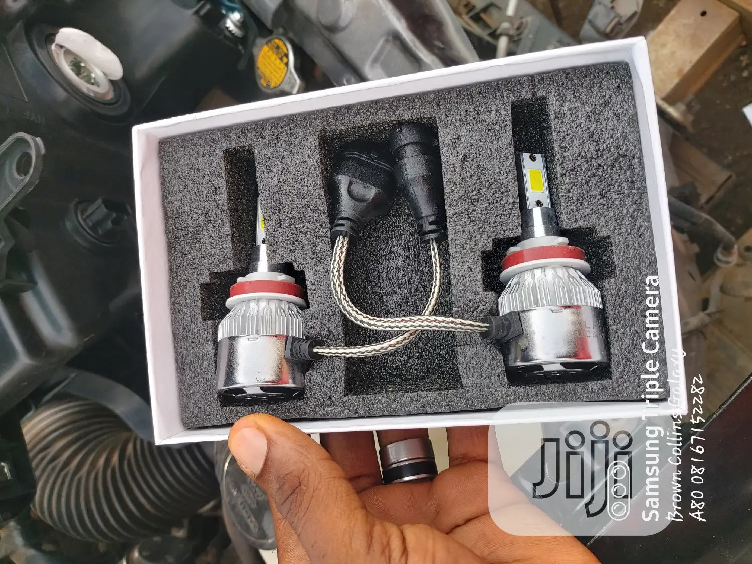Halogen Bulb C6