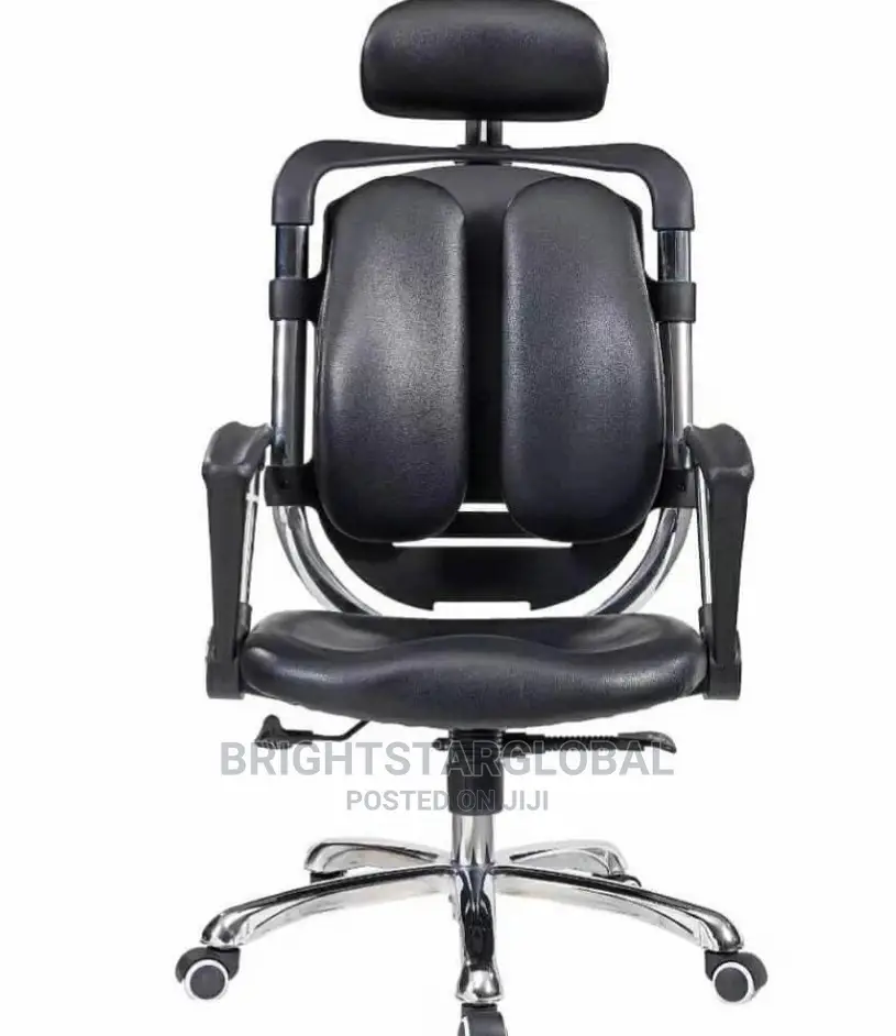 Ergonomic Chair (Standard Back Support)