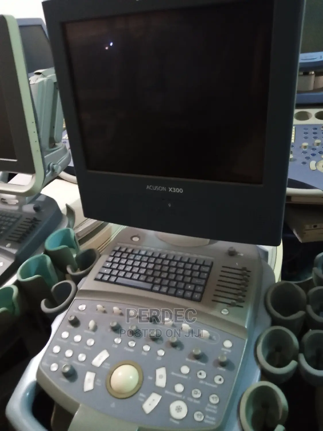 Siemens Acuson X300 3d/4d Premium Edition
