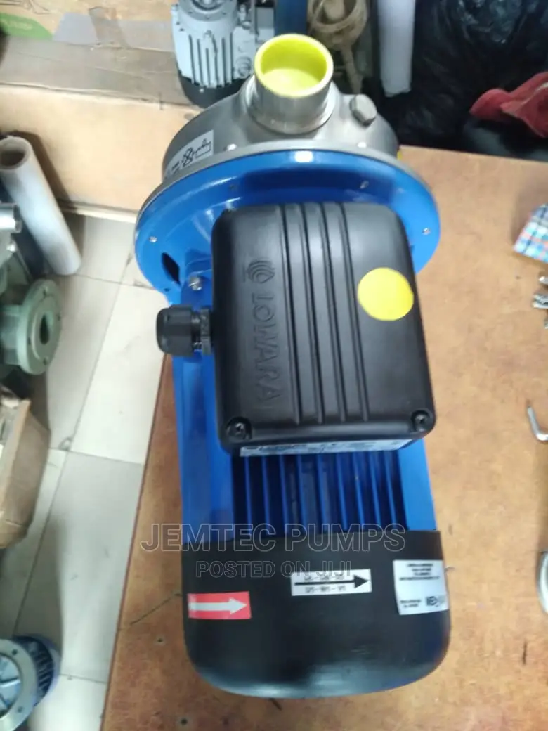 Lowara Stainless Steel Water Pump