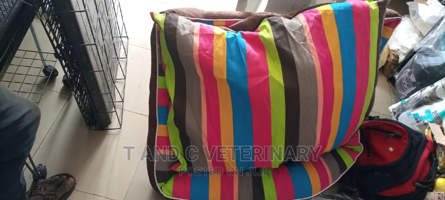 Rainbow Dog Bed