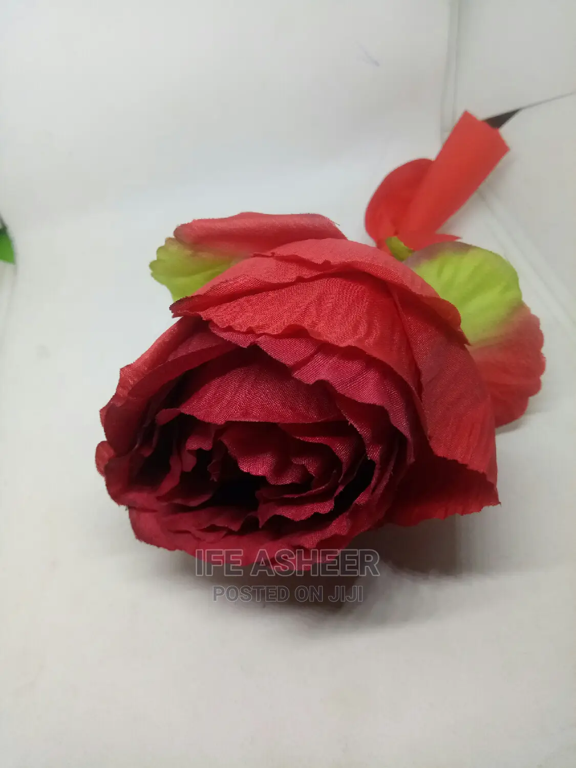 Beautiful Exotic Rose Flower for Your Loved Ones 010 - Red