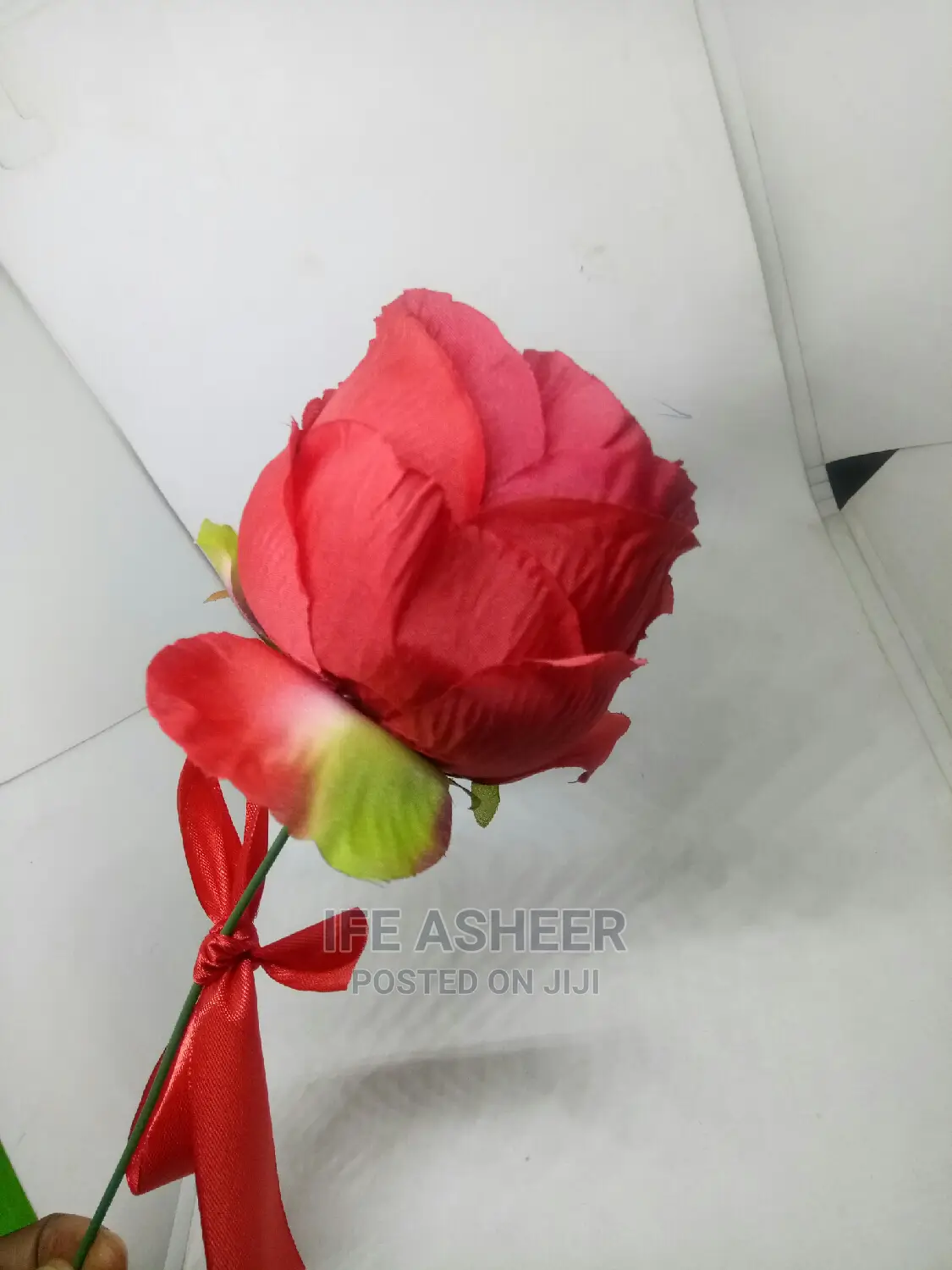 Beautiful Exotic Rose Flower for Your Loved Ones 010 - Red