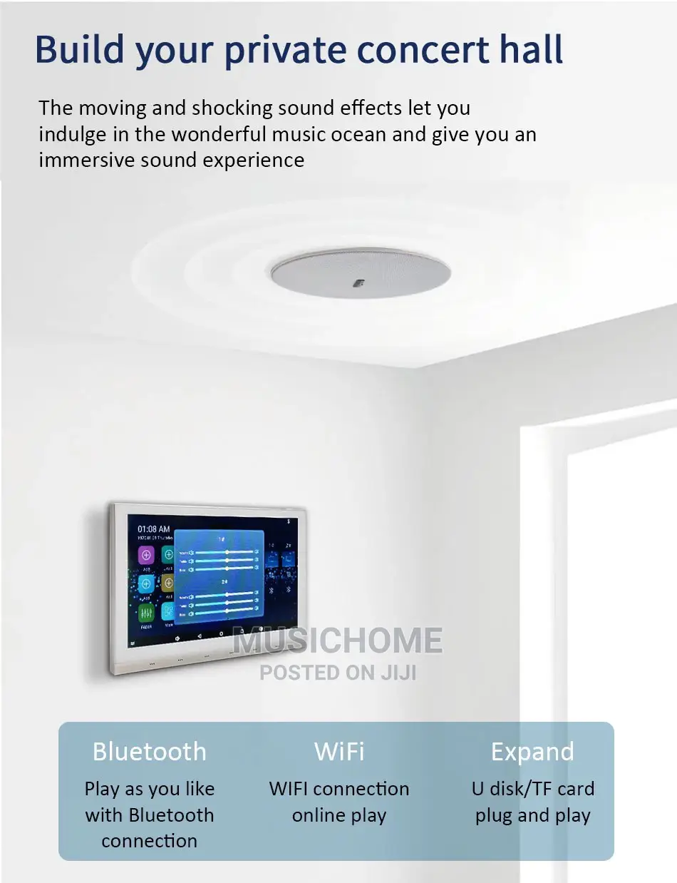 Biggest Smart Wall Music Control 10" With Wifi , Bluetooth