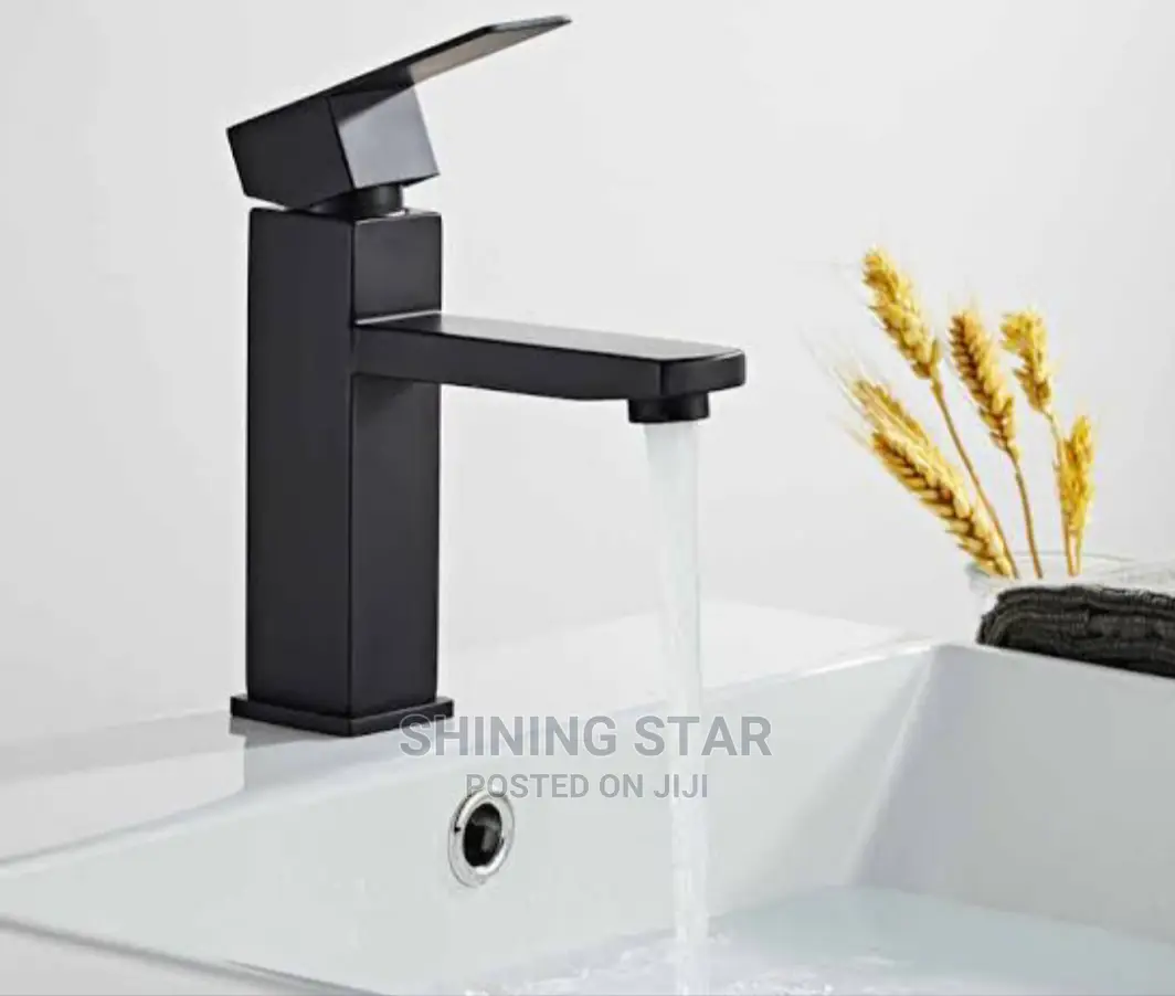 Executive Black Basin Faucet