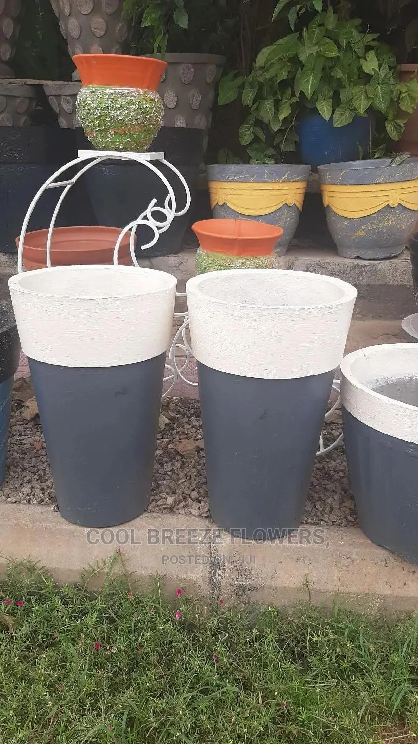 Quality for Outdoor Plants