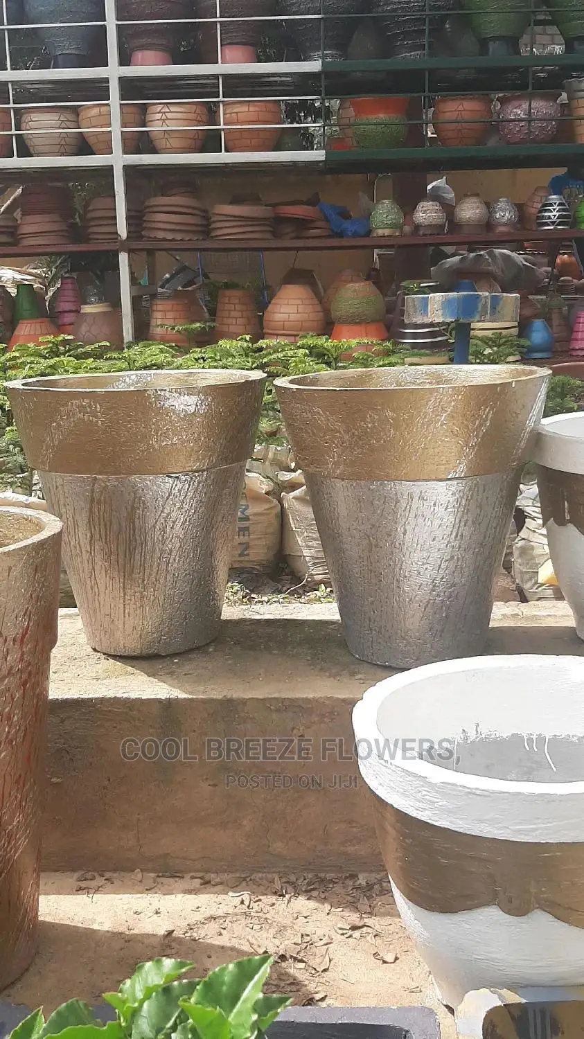 Quality for Outdoor Plants