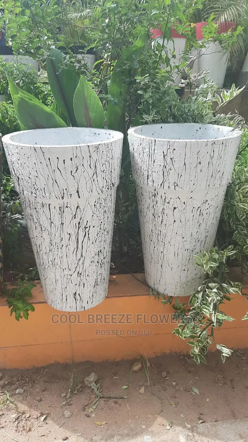 Quality for Outdoor Plants