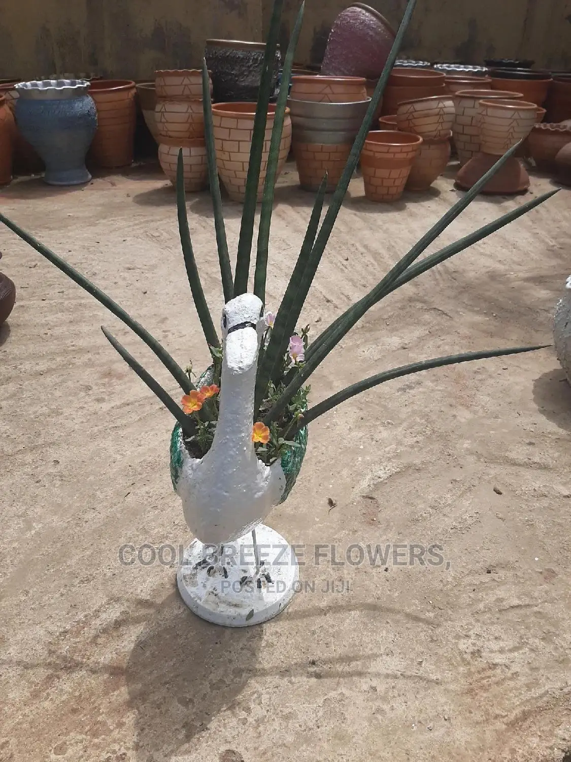 Quality for Outdoor Plants