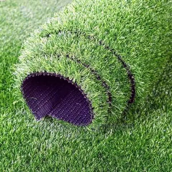 Quality Carpet Grass
