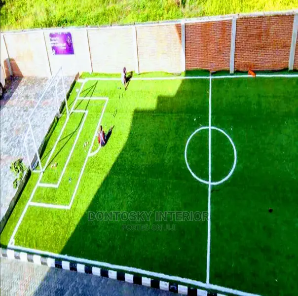 Carpet Grass for Field and Garden