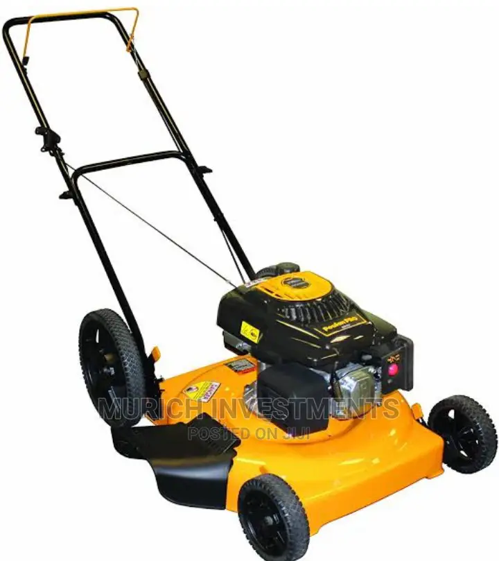 Ingco Gasoline Lawn Mower 4.8hp With Side Discharge