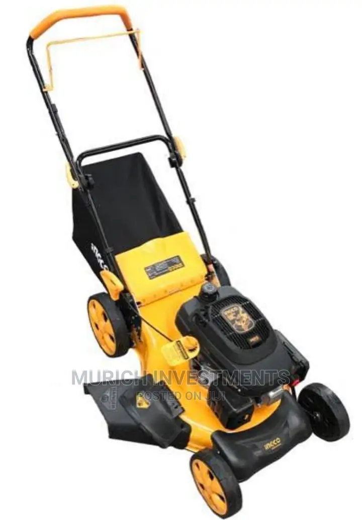 Ingco Gasoline Lawn Mower 4.8hp With Side Discharge