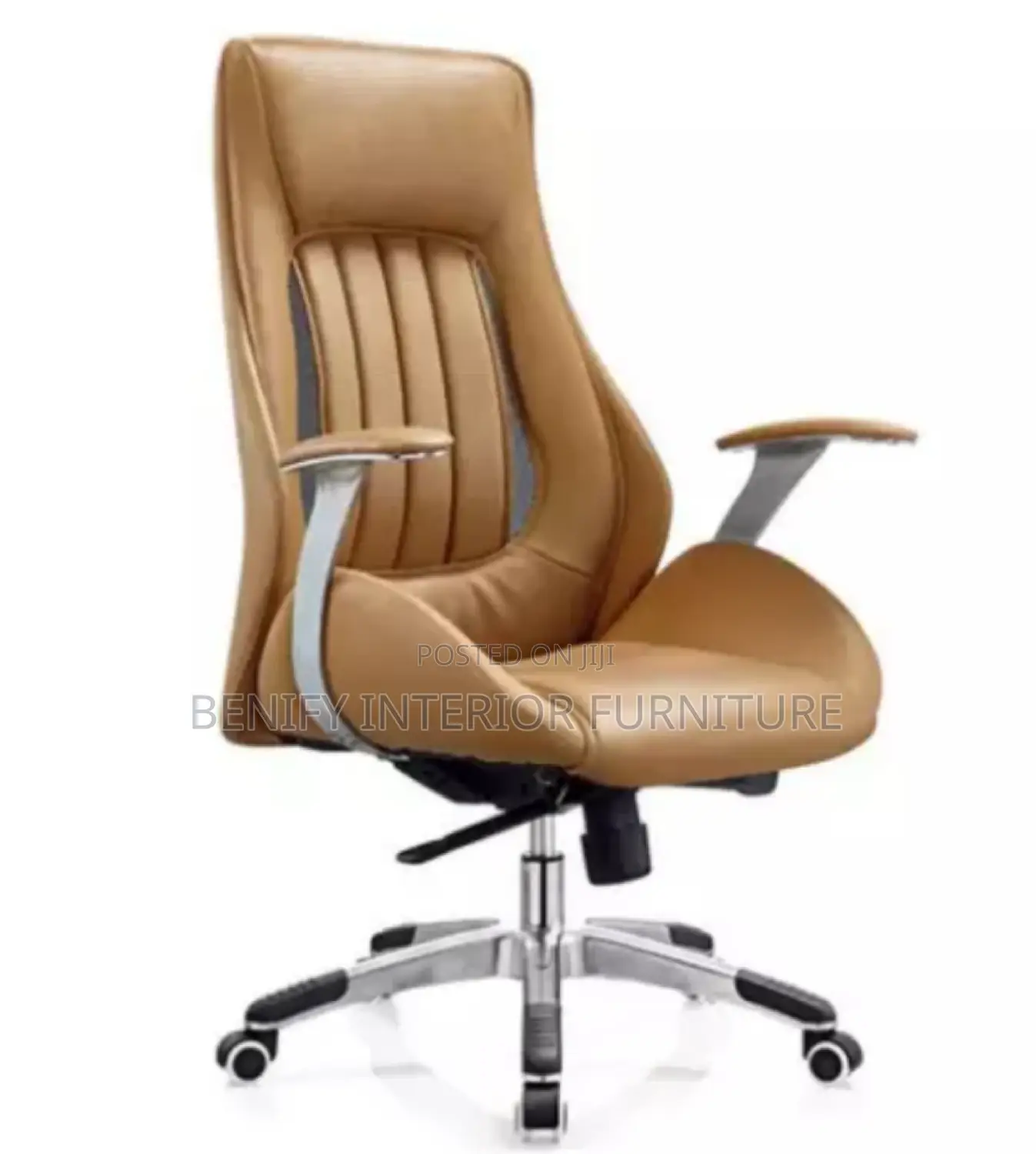 Ergonomic Executive Director Office Chair