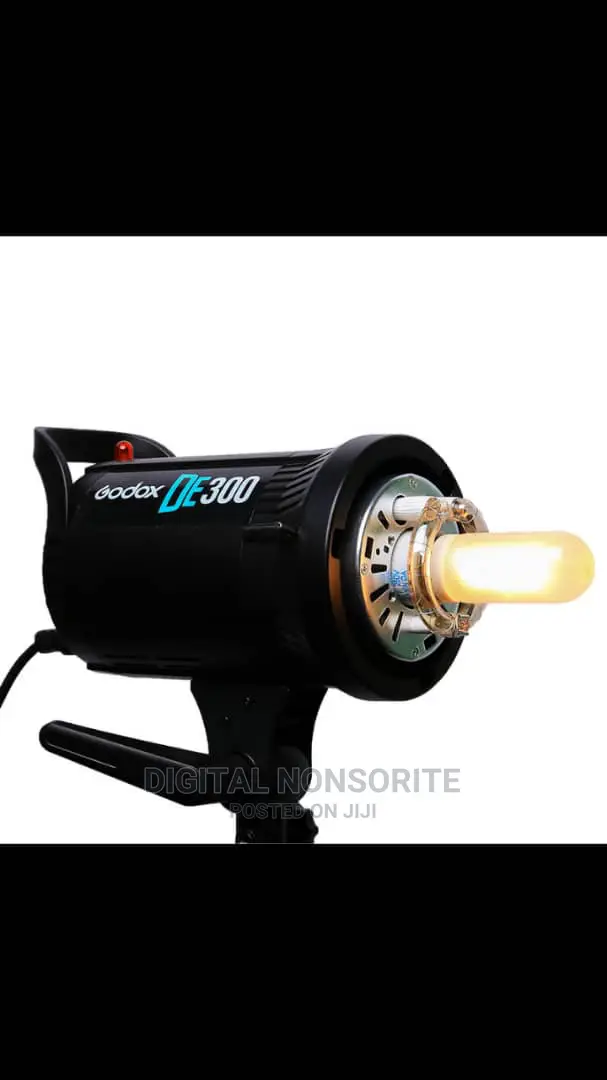 Godox De300 Set With Trigger