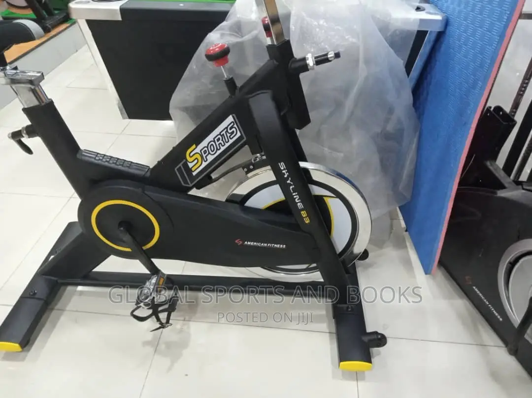 Brand New Skyline Spinning Bike