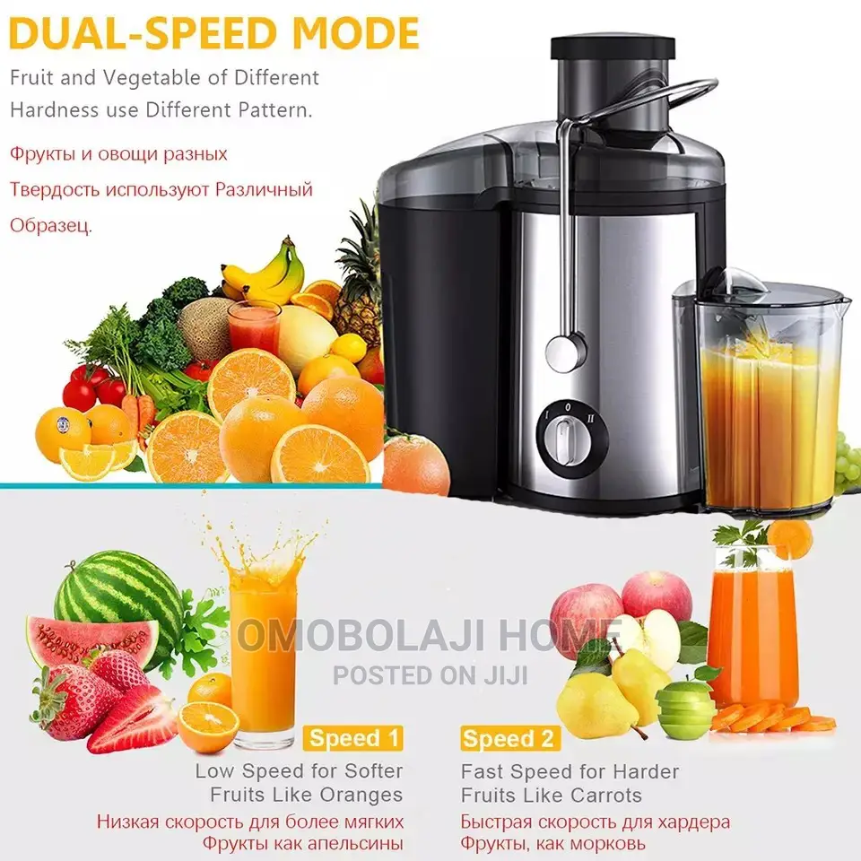 Electric Fruit Juicer