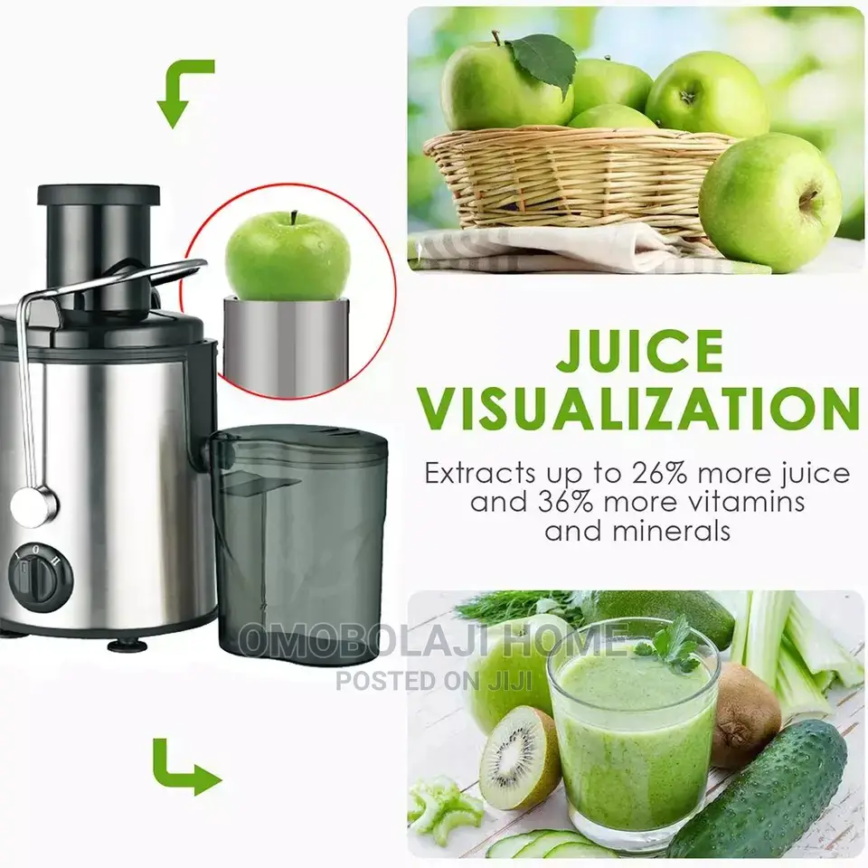 Electric Fruit Juicer