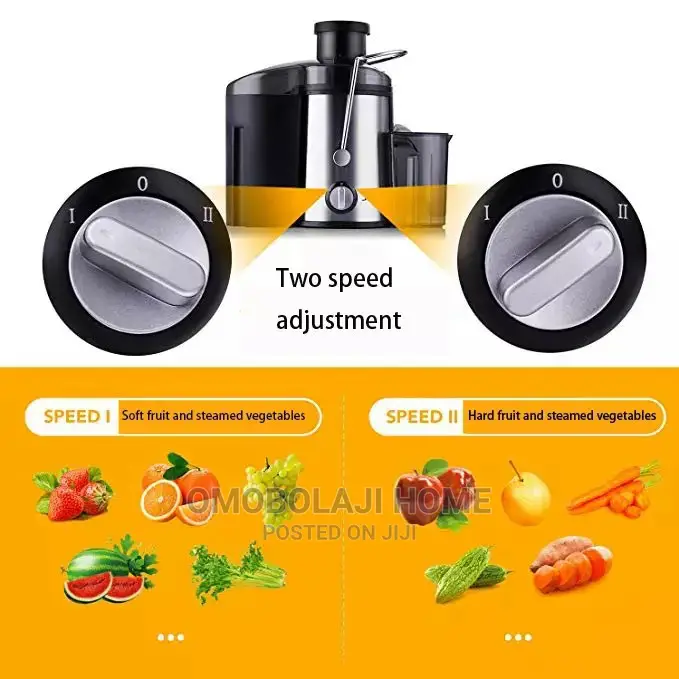 Electric Fruit Juicer