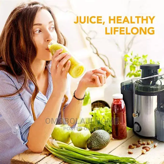 Electric Fruit Juicer