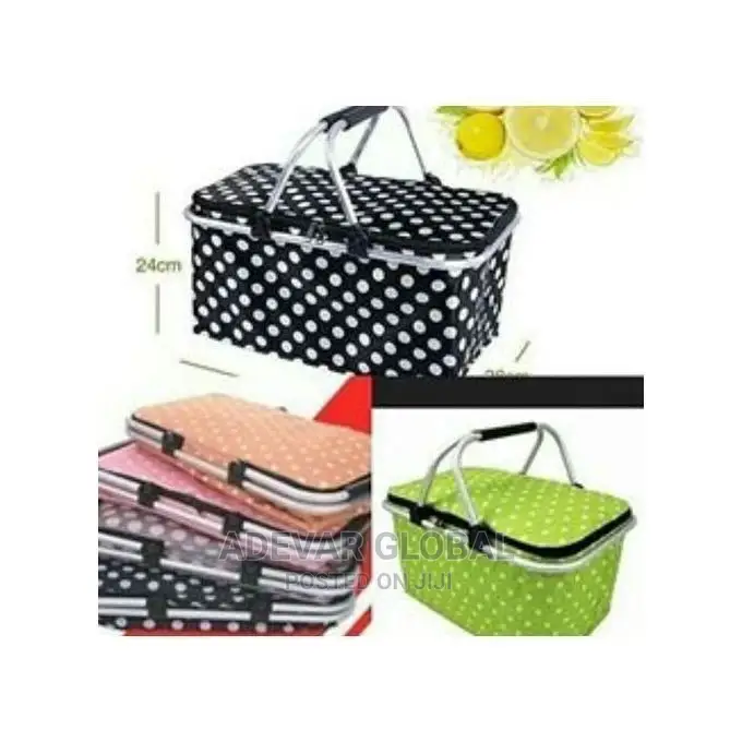 Trendy Picnic Lunch Bags for All Occassions and Outing
