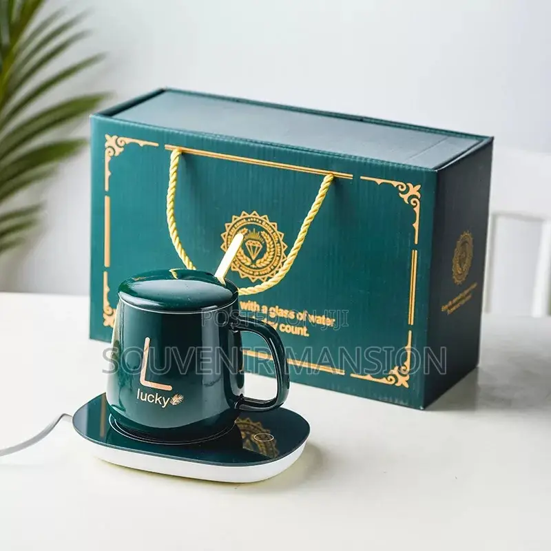 Electric Coffee Mug and Heater