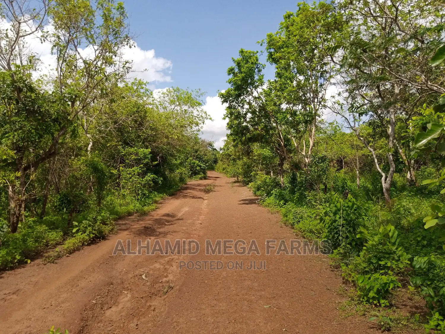 250 Acres of Farmland at 500,000 Per Acre