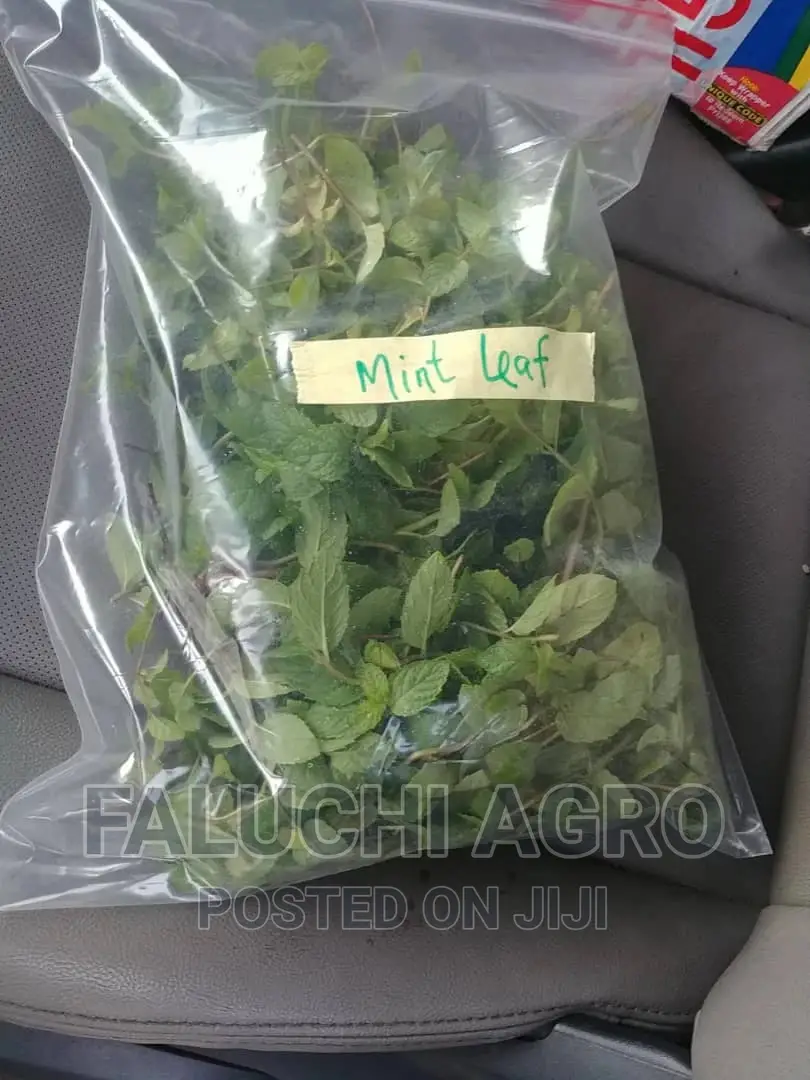 Fresh Organic Herbs and Vegetable Leaves (Now Available )