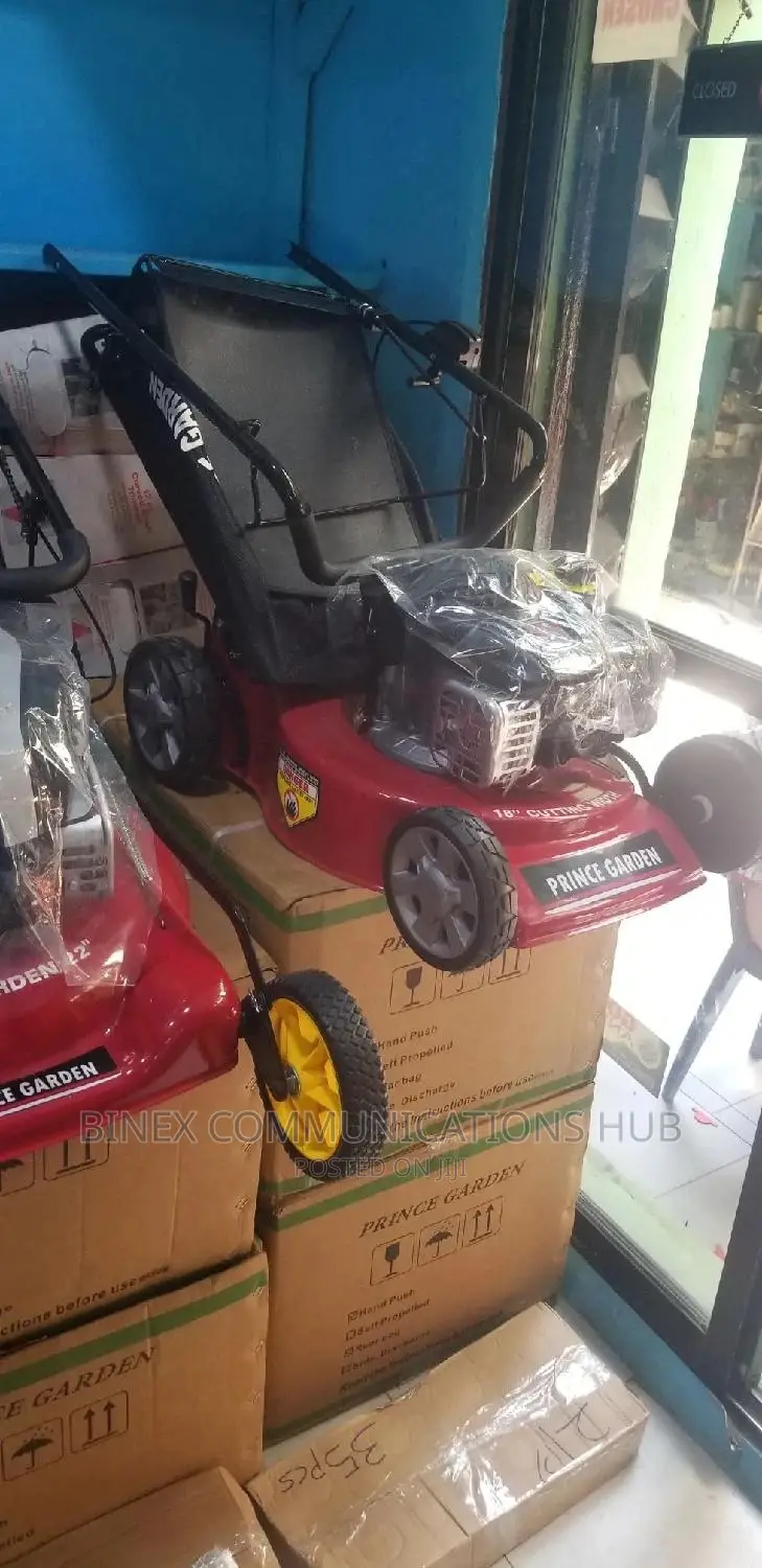 Usa Standard Prince Garden 6hp Lawn Mower