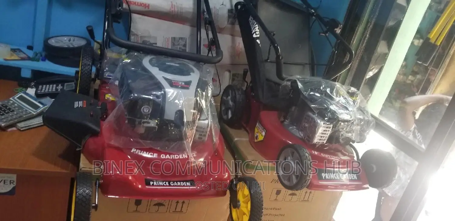 Usa Standard Prince Garden 6hp Lawn Mower