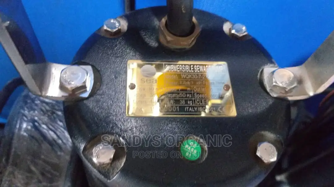 3 Horse Power Sewage Pump