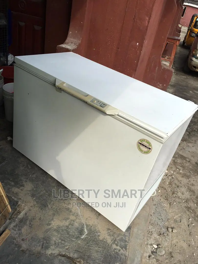 Liebherr Deep Freezer 300litres (MOULD FOR FROZEN)