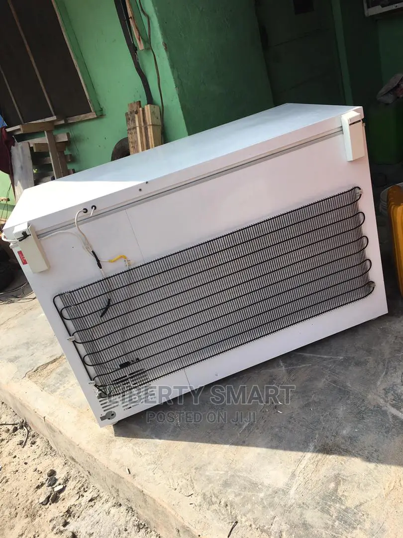 Liebherr Deep Freezer 300litres (MOULD FOR FROZEN)