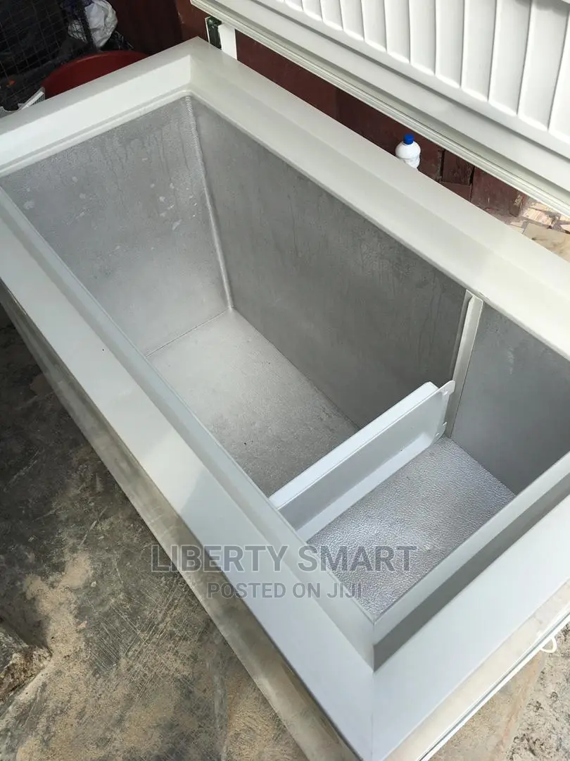 Liebherr Deep Freezer 300litres (MOULD FOR FROZEN)
