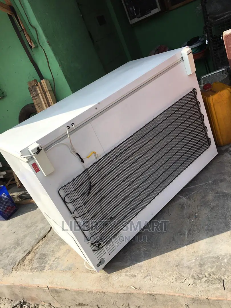 Liebherr Deep Freezer 300litres (MOULD FOR FROZEN)