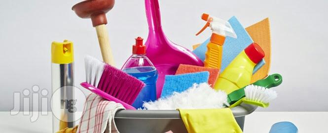 Professional Home Cleaning Service