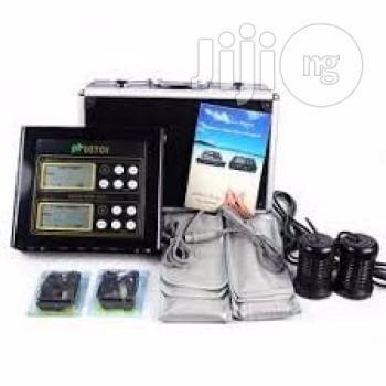 Dual Ionic Foot Detox Machine