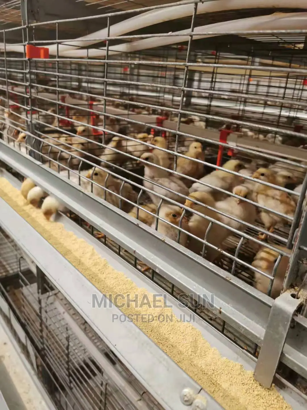 Best Battery Cages