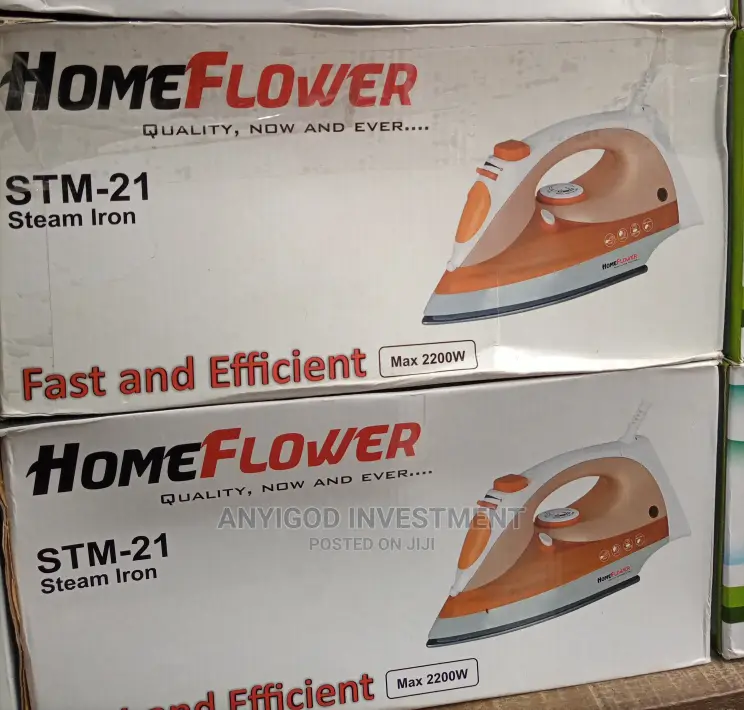 Homeflower Steam Iron STM-21