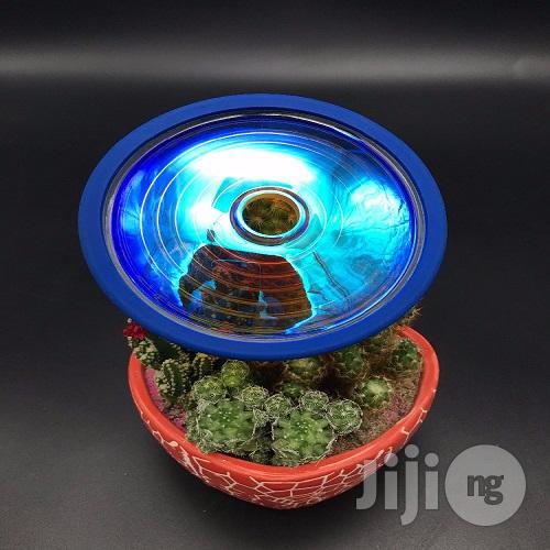 Alpha Spin Amezcua Bio Energy Disc 4