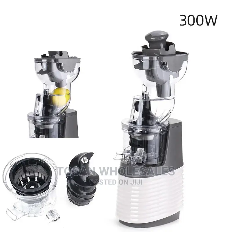Quality Whole Slow Juicer JE-32