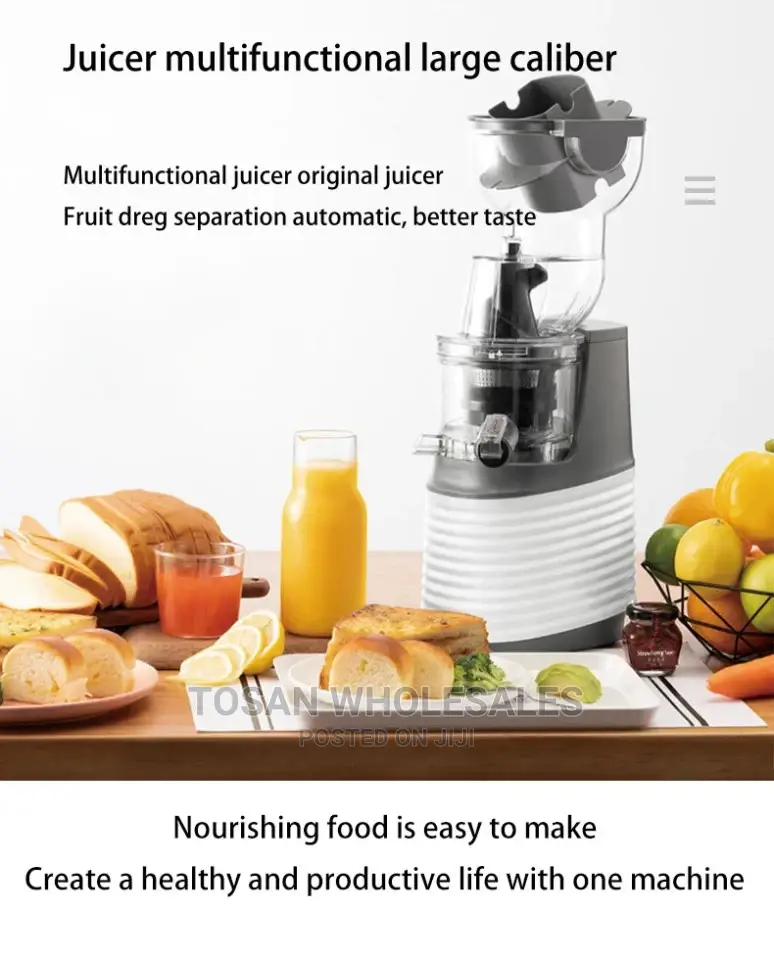 Quality Whole Slow Juicer JE-32