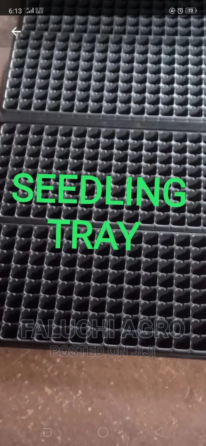 Seedling Trays - 200 Holes/Cells (100 Pieces in a Carton)